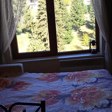 апартамент, студио хрис, лъки 4* بامبوروفو