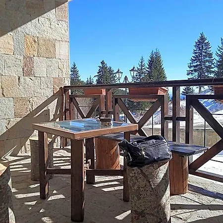 апартамент, студио хрис, лъки 4*