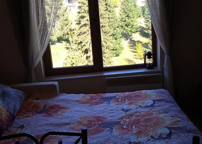 апартамент, студио хрис, лъки 3* Pamporovo